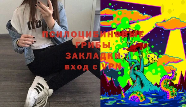 стаф Михайлов