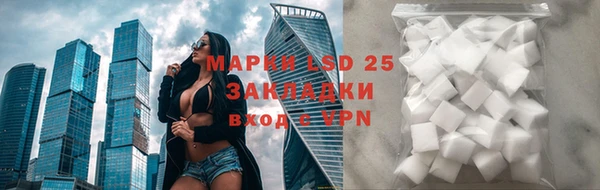стаф Михайлов