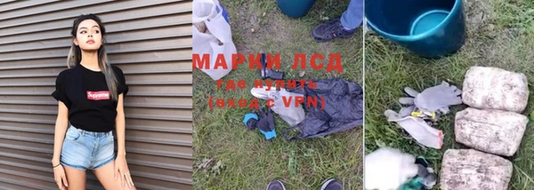 стаф Михайлов