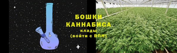 стаф Михайлов