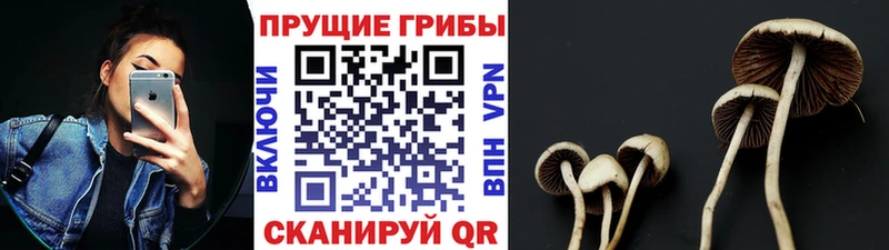 Галлюциногенные грибы мицелий  Таштагол 
